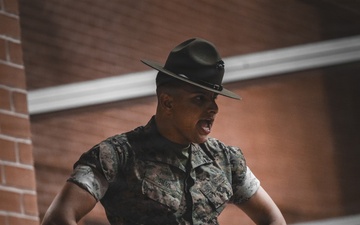 Hotel Company Receiving