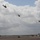 1-149th Attack Battalion Hosts a ESGR Boss Lift 1-149th Attack Battalion Hosts a ESGR Boss Lift