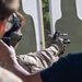 24th MEU MRF conduct Rifle and Pistol Drills