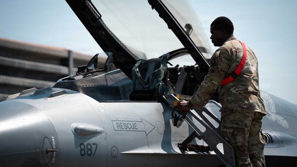 FF 26-1: 31 AEW Airman marshals 35 FS aircraft