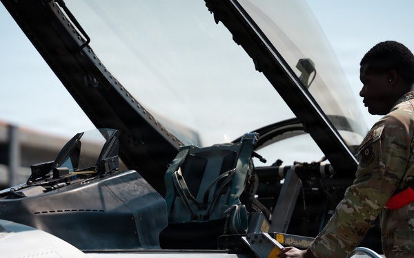 FF 26-1: 31 AEW Airman marshals 35 FS aircraft