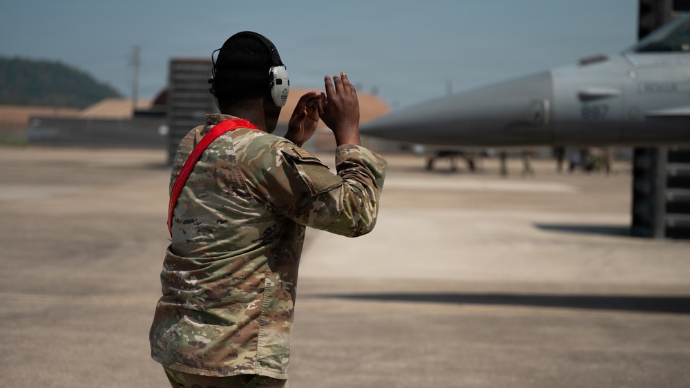 FF 26-1: 31 AEW Airman marshals 35 FS aircraft