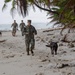 Military Working Dogs of NSF Diego Garcia