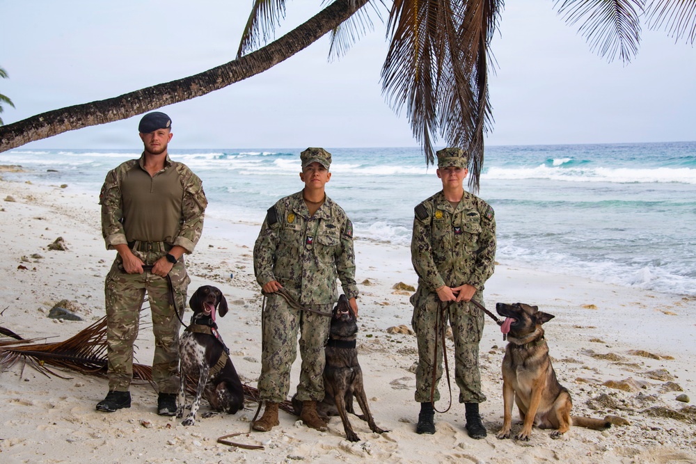 Military Working Dogs of NSF Diego Garcia