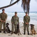 Military Working Dogs of NSF Diego Garcia