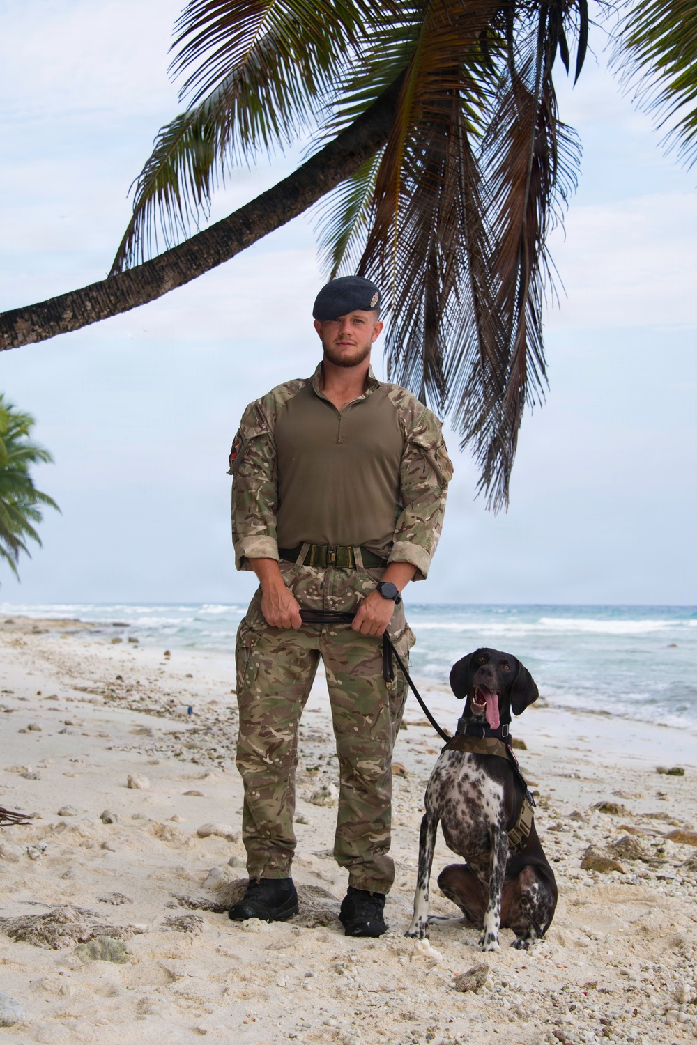 Military Working Dogs of NSF Diego Garcia