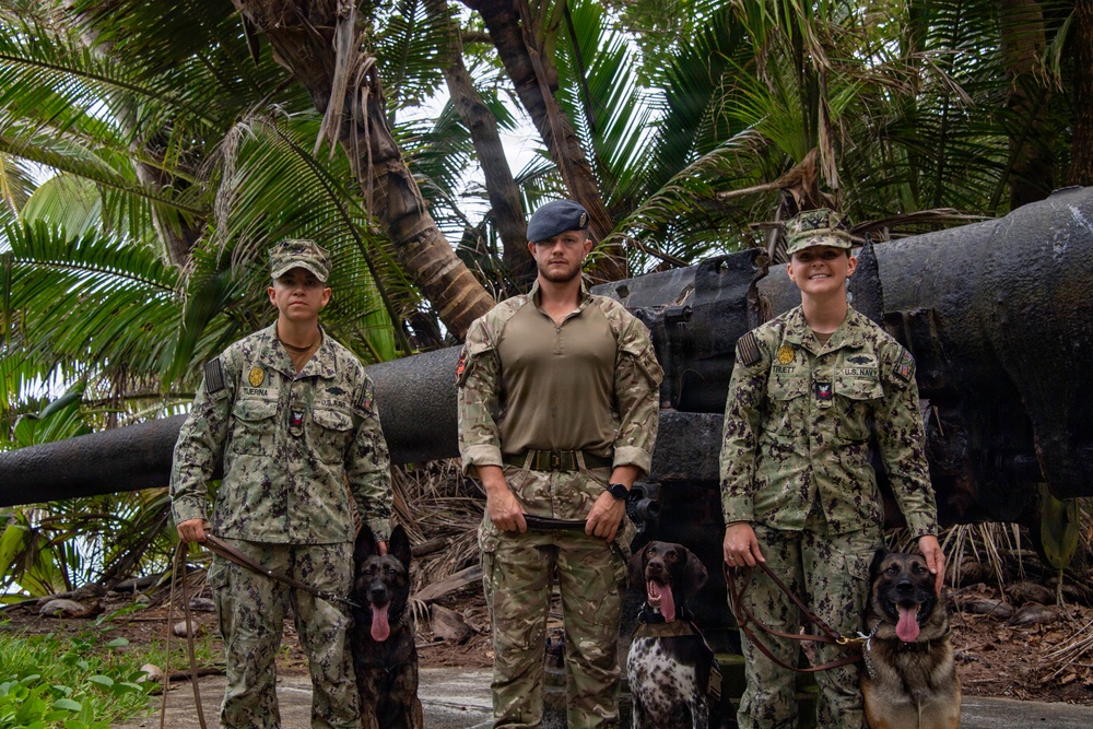 Military Working Dogs of NSF Diego Garcia