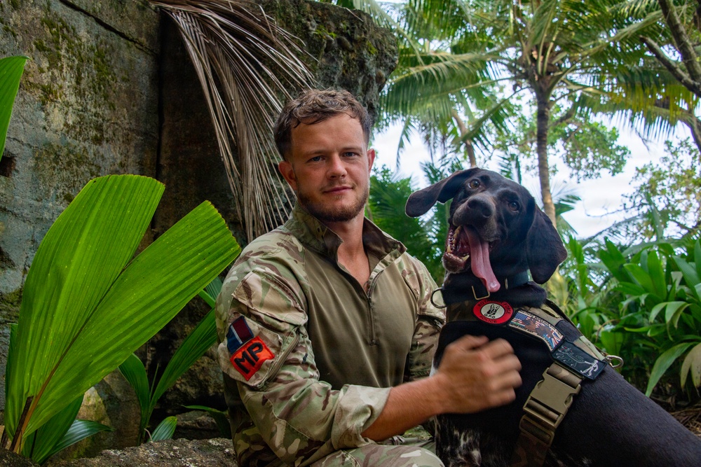 Military Working Dogs of NSF Diego Garcia