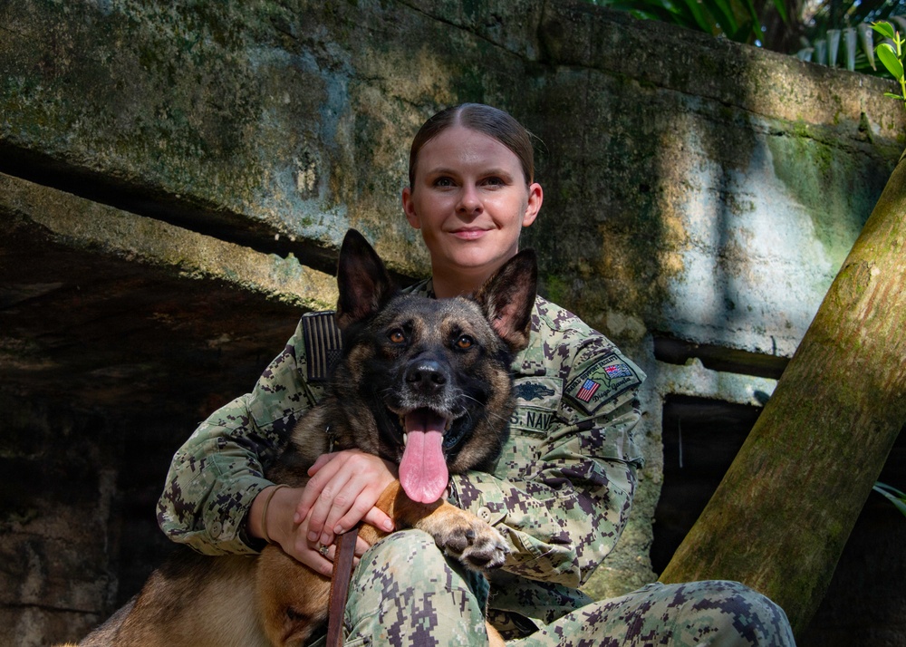 Military Working Dogs of NSF Diego Garcia