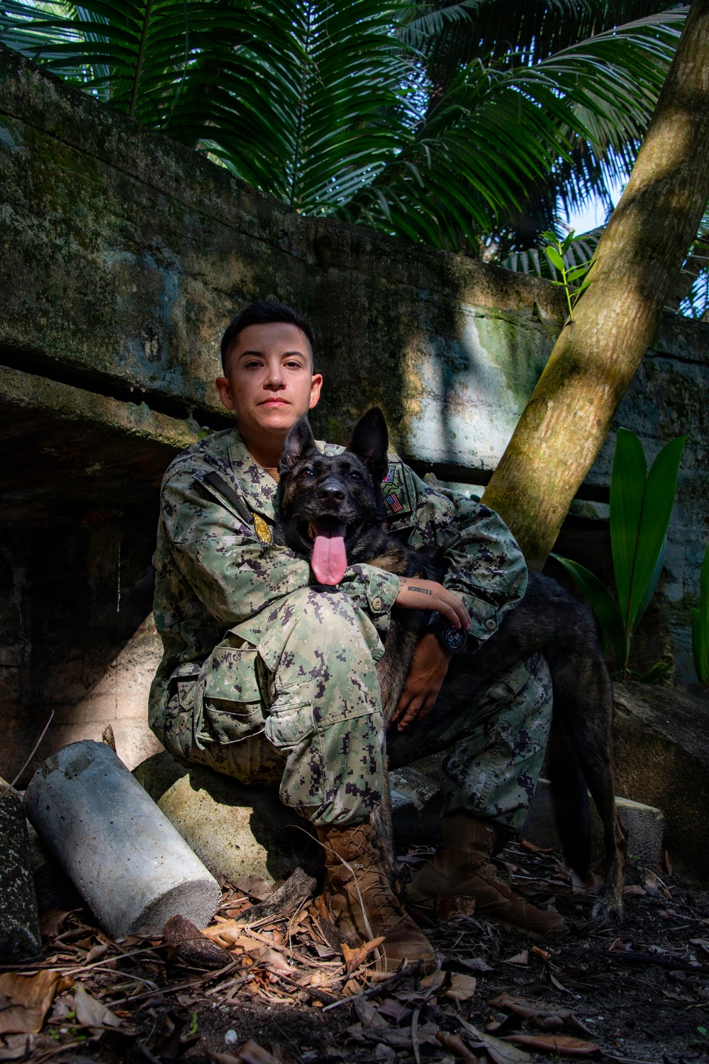 Military Working Dogs of NSF Diego Garcia