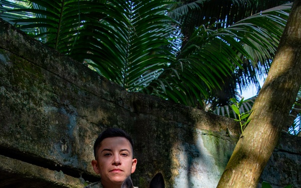 Military Working Dogs of NSF Diego Garcia