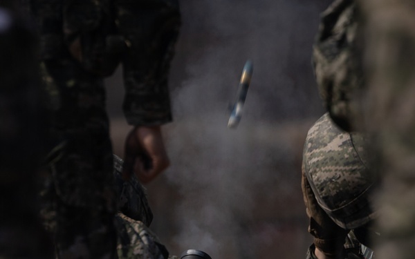 U.S. Marines with 12th LCT Execute Bilateral Live-Fire Range: Day 1