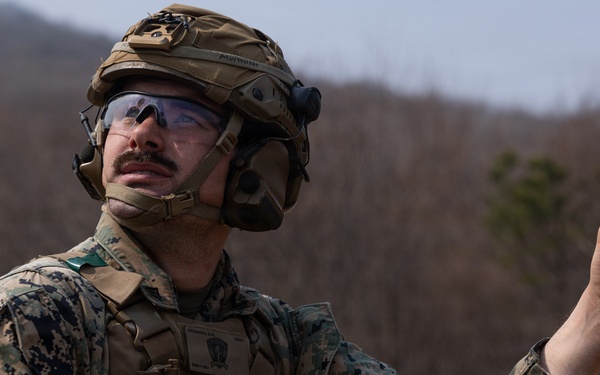 U.S. Marines with 12th LCT Execute Bilateral Live-Fire Range: Day 1