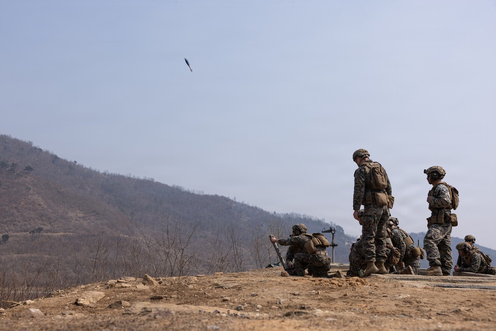 U.S. Marines with 12th LCT Execute Bilateral Live-Fire Range: Day 1