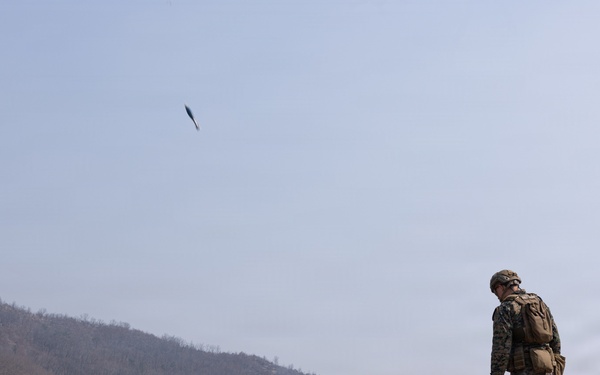 U.S. Marines with 12th LCT Execute Bilateral Live-Fire Range: Day 1