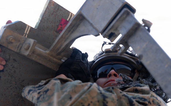 U.S. Marines with 12th LCT Execute Bilateral Live-Fire Range: Day 1