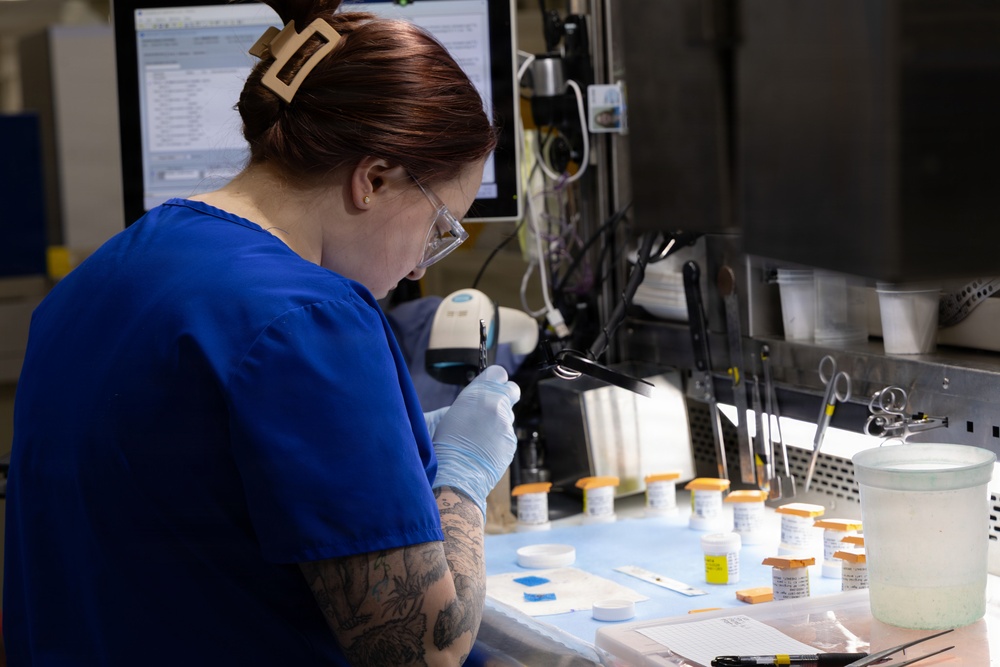 Walter Reed’s pathologists’ assistants: diligently dissecting behind the scenes