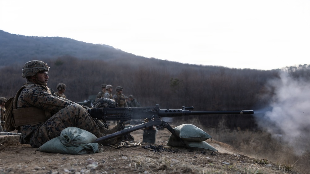 U.S. Marines with 12th LCT Execute Bilateral Live-Fire Range: Day 1