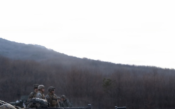 U.S. Marines with 12th LCT Execute Bilateral Live-Fire Range: Day 1
