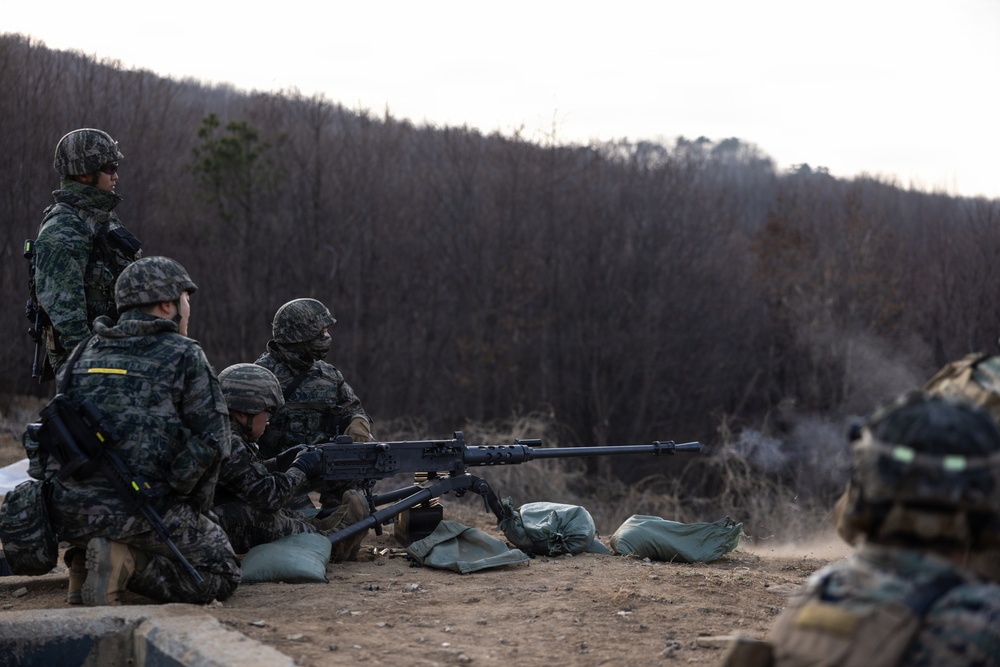 U.S. Marines with 12th LCT Execute Bilateral Live-Fire Range: Day 1