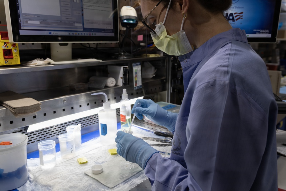 Walter Reed’s pathologists’ assistants: diligently dissecting behind the scenes