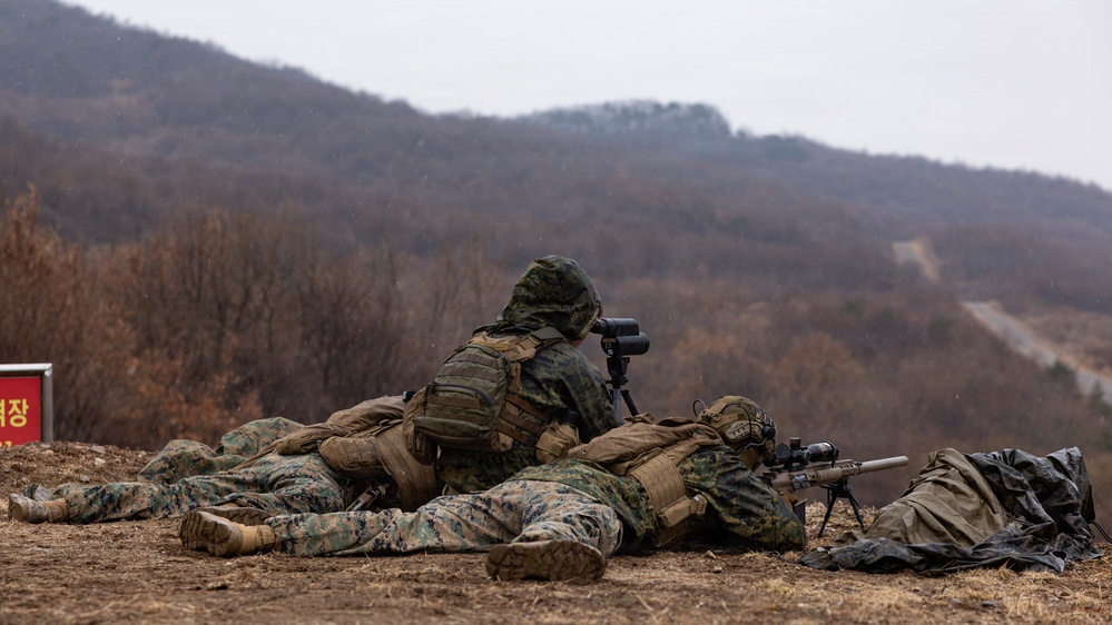 U.S. Marines with 12th LCT Execute Bilateral Live-Fire Range: Day 2