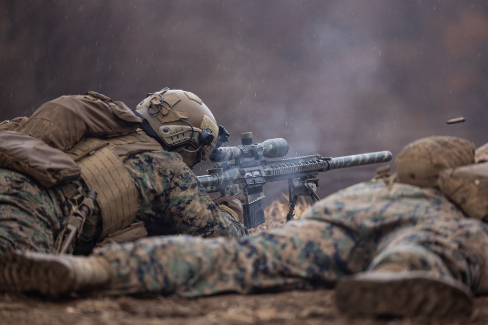 U.S. Marines with 12th LCT Execute Bilateral Live-Fire Range: Day 2