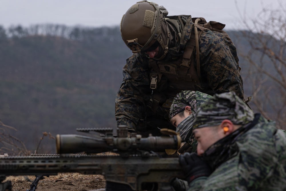 U.S. Marines with 12th LCT Execute Bilateral Live-Fire Range: Day 2