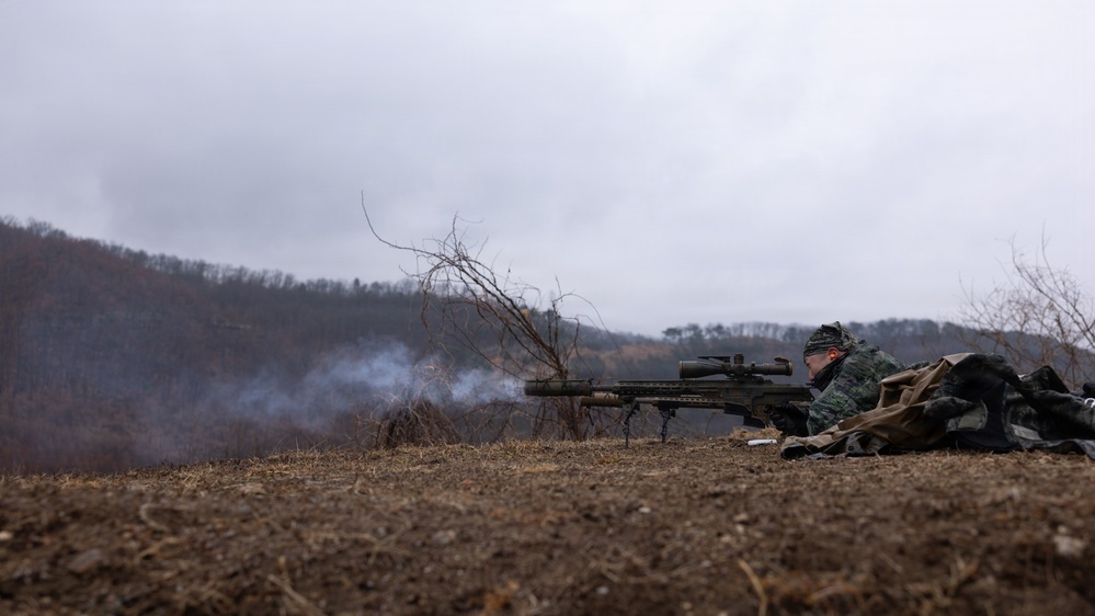 U.S. Marines with 12th LCT Execute Bilateral Live-Fire Range: Day 2