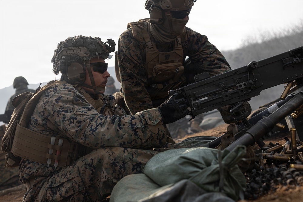 U.S. Marines with 12th LCT Execute Bilateral Live-Fire Range: Day 2