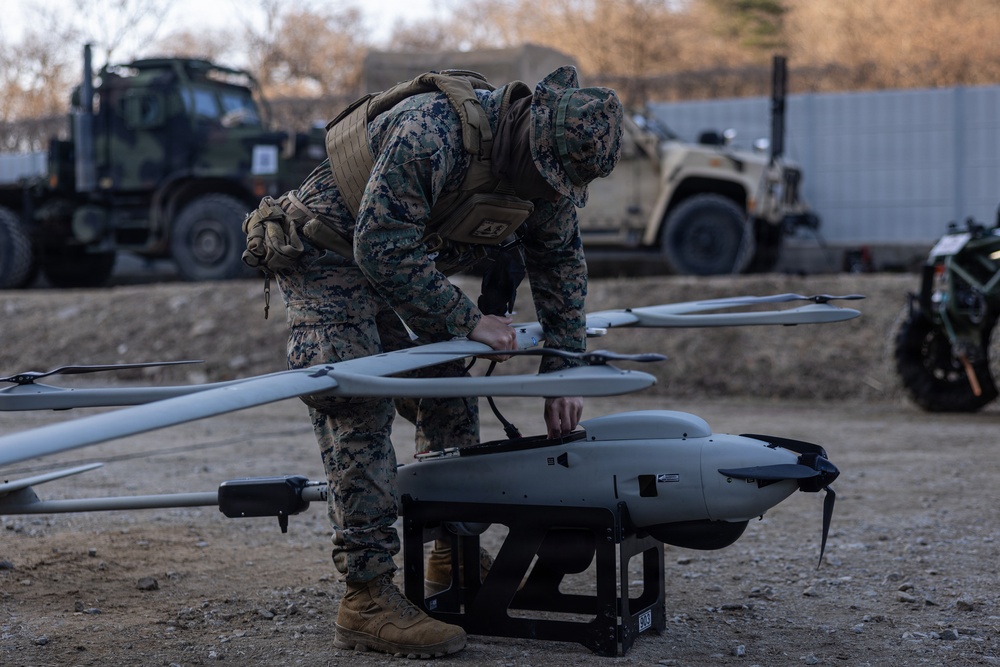 U.S. Marines with 12th LCT Execute Bilateral Live-Fire Range: Day 3