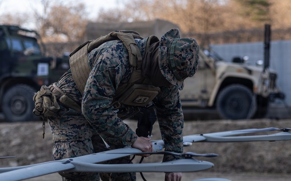 U.S. Marines with 12th LCT Execute Bilateral Live-Fire Range: Day 3
