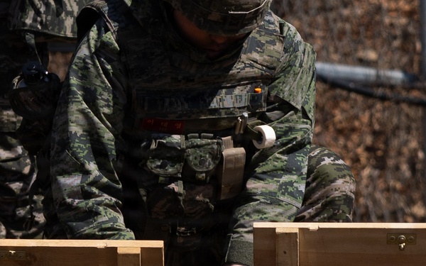 U.S. Marines with 12th LCT Execute Bilateral Live-Fire Range: Day 3