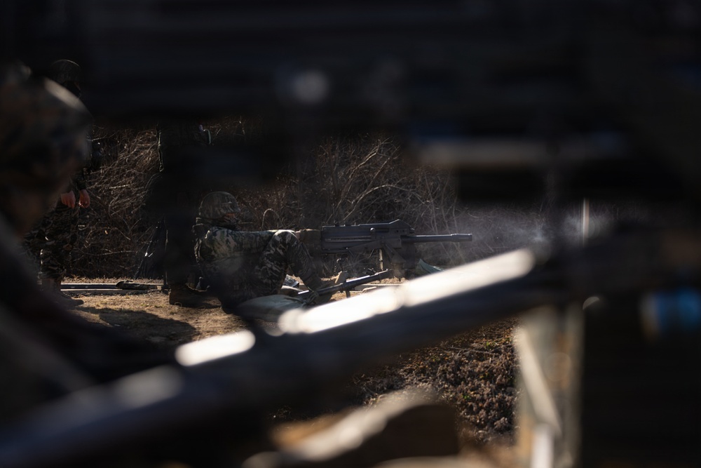 U.S. Marines with 12th LCT Execute Bilateral Live-Fire Range: Day 3