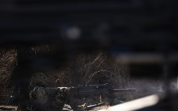 U.S. Marines with 12th LCT Execute Bilateral Live-Fire Range: Day 3