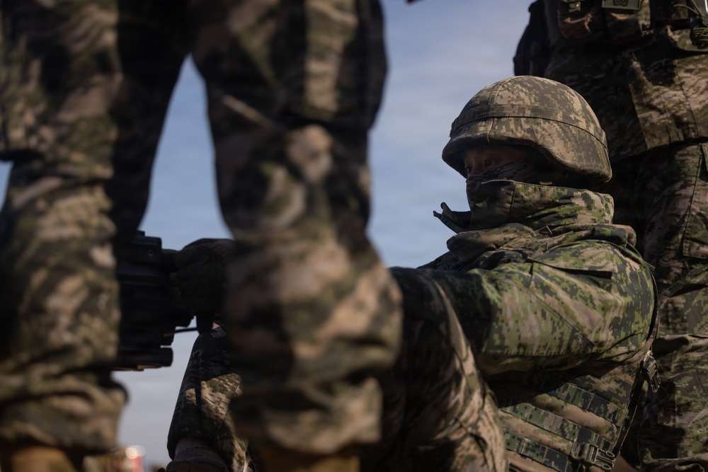 U.S. Marines with 12th LCT Execute Bilateral Live-Fire Range: Day 3