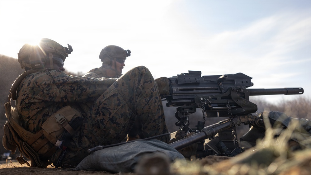 U.S. Marines with 12th LCT Execute Bilateral Live-Fire Range: Day 3