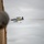 Thunder air show returns to banks of Ohio River with KYANG aircraft Thunder air show returns to banks of Ohio River with KYANG aircraft