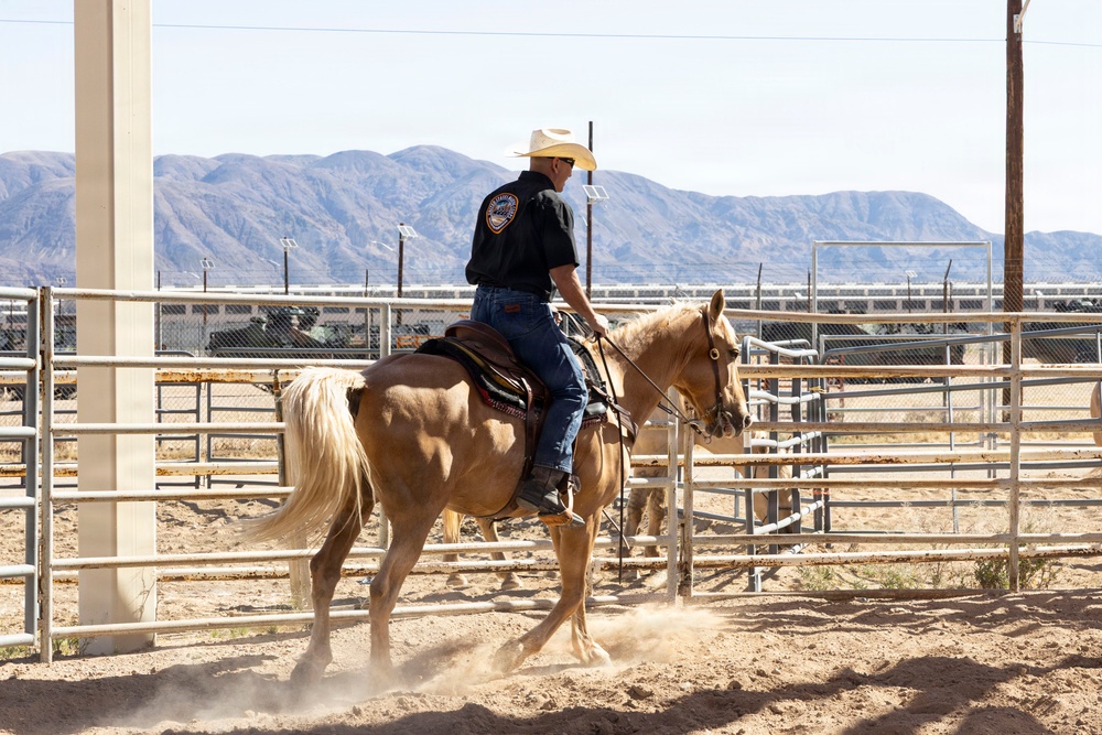 U.S. Marine Corps Mounted Color Guard conducts groundwork exercises