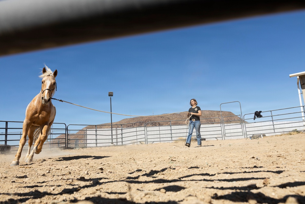U.S. Marine Corps Mounted Color Guard conducts groundwork exercises