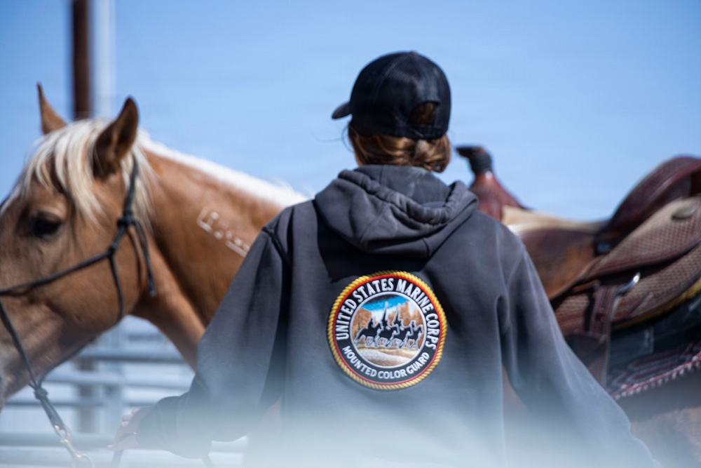 U.S. Marine Corps Mounted Color Guard trains horsemanship