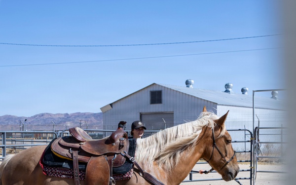 U.S. Marine Corps Mounted Color Guard trains horsemanship