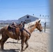 U.S. Marine Corps Mounted Color Guard trains horsemanship