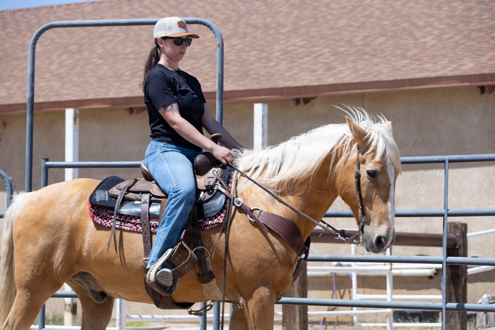 U.S. Marine Corps Mounted Color Guard trains horsemanship