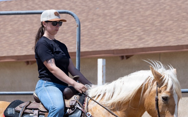 U.S. Marine Corps Mounted Color Guard trains horsemanship