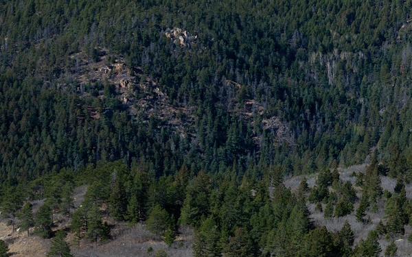 Spring Culminating Exercise Tests Cadet Warfighter Skills