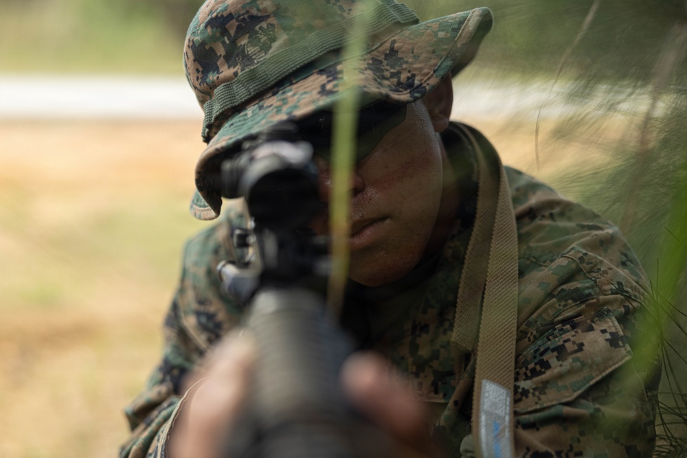 U.S. Marines and Sailors with Combat Logistics Regiment 35, 3rd Marine Logistics Group, Patrols
