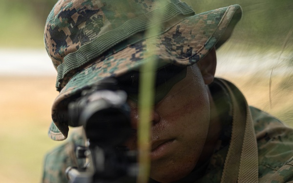 U.S. Marines and Sailors with Combat Logistics Regiment 35, 3rd Marine Logistics Group, Patrols
