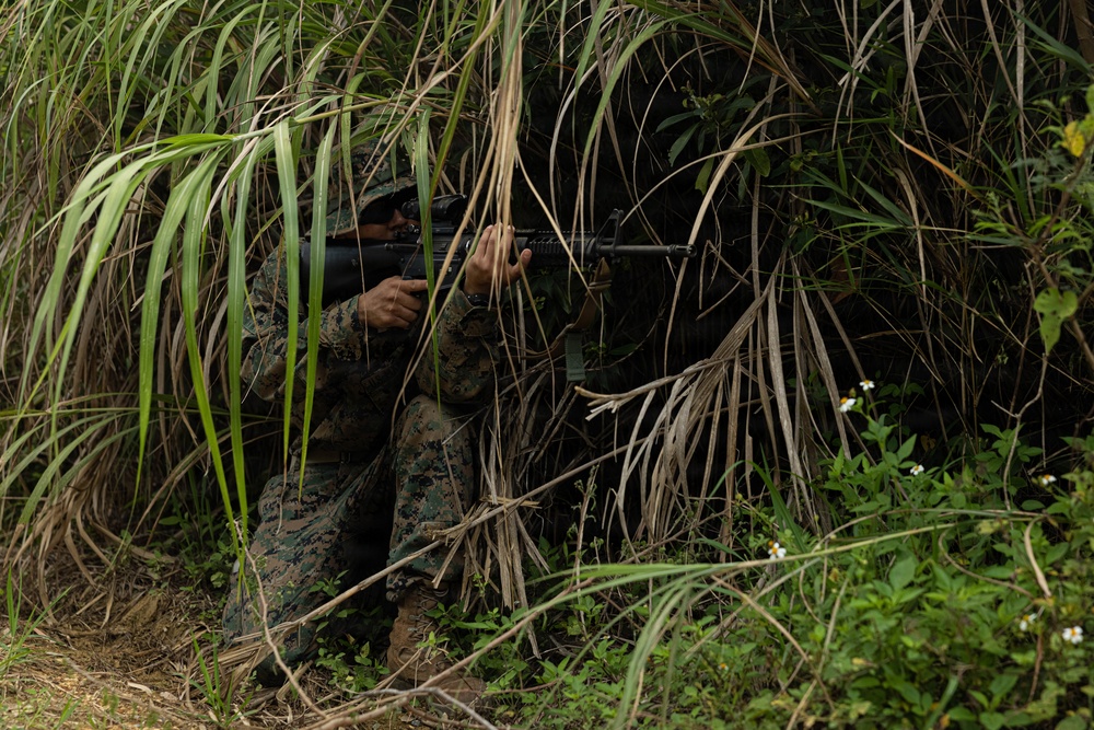 U.S. Marines and Sailors with Combat Logistics Regiment 35, 3rd Marine Logistics Group, Patrols