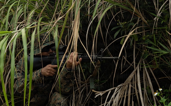 U.S. Marines and Sailors with Combat Logistics Regiment 35, 3rd Marine Logistics Group, Patrols